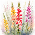 Snapdragon Watercolor Print: Vibrant Floral Wall Art (Digital Download)