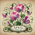 Sweet Pea April Birth Flower Print: Vintage Botanical Art (Digital Download) 2